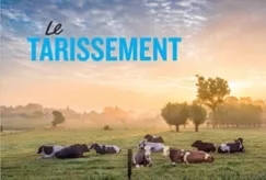 Le tarissement